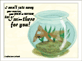Goldfish in a fishbowl: “I can't take away your worries, your pain or sorrow, but I'm just there for you!”