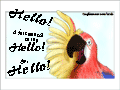 Parrot waving with his right wing: “Hello! I just wanted to say Hello! So: Hello!”