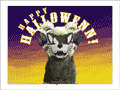 Sheep ram in a wolf mask: “Happy Haloween!”