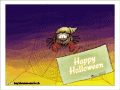 Spider dressed up as hemit crab: Happy Halloween!