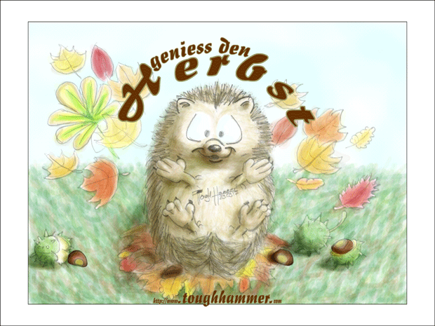 Igel im Laubhaufen wirft Blätter hoch: “Geniess den Herbst”